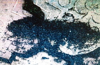 Росприроднадзор проверяет предприятие по производству фанеры по жалобам жителей п. Понтонный